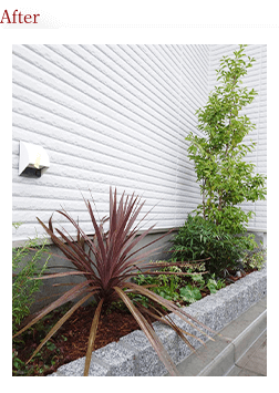 個人宅植栽作業After画像