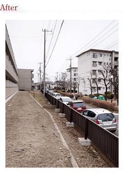 マンション伐採作業After画像