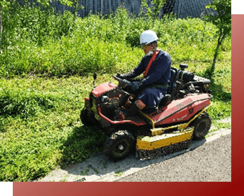 事業内容の画像