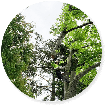 コンセプトの背景2