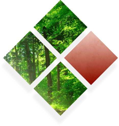 保証体制イメージ画像